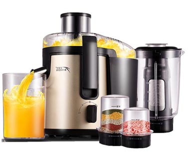 Household Juicer Manufacturer